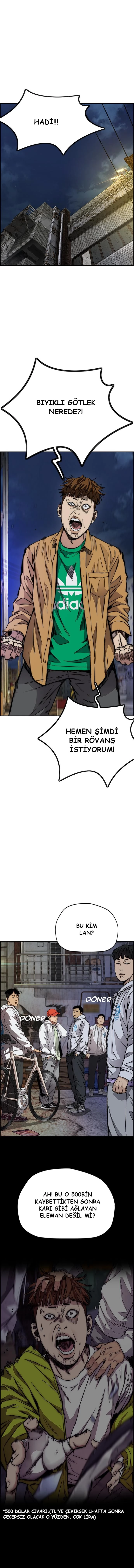 Read Wind Breaker TR Manga Online