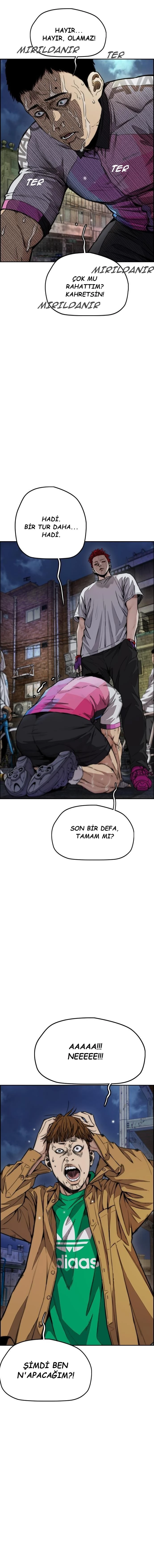 Read Wind Breaker TR Manga Online