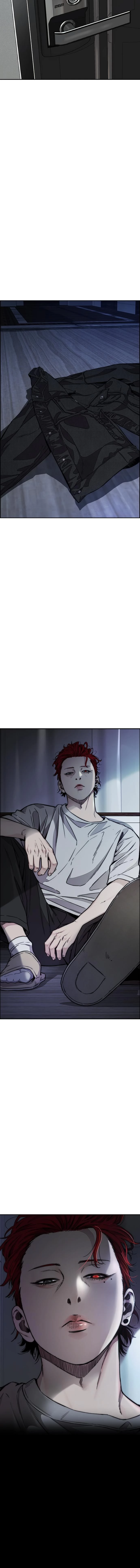 Read Wind Breaker TR Manga Online