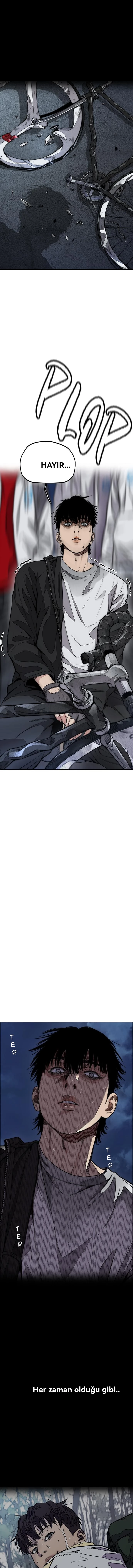 Read Wind Breaker TR Manga Online