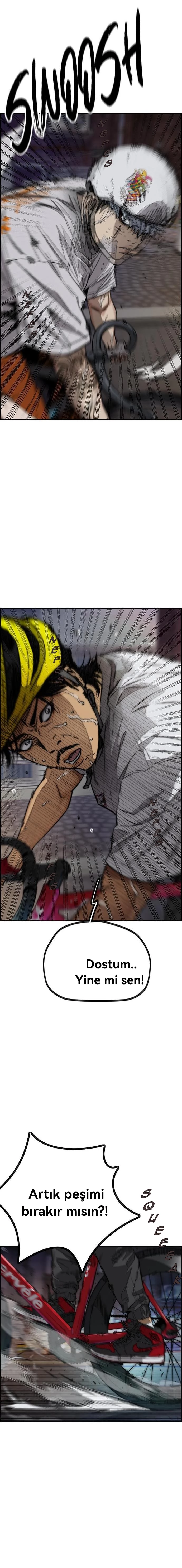 Read Wind Breaker TR Manga Online
