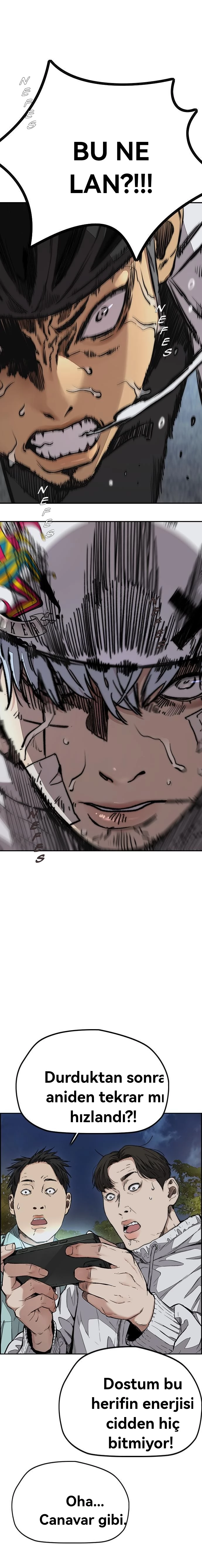 Read Wind Breaker TR Manga Online
