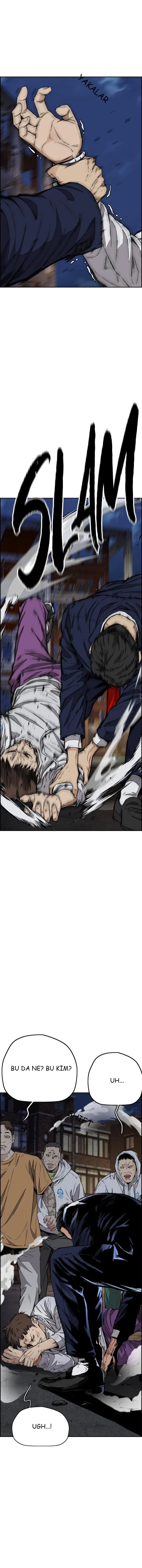Read Wind Breaker TR Manga Online
