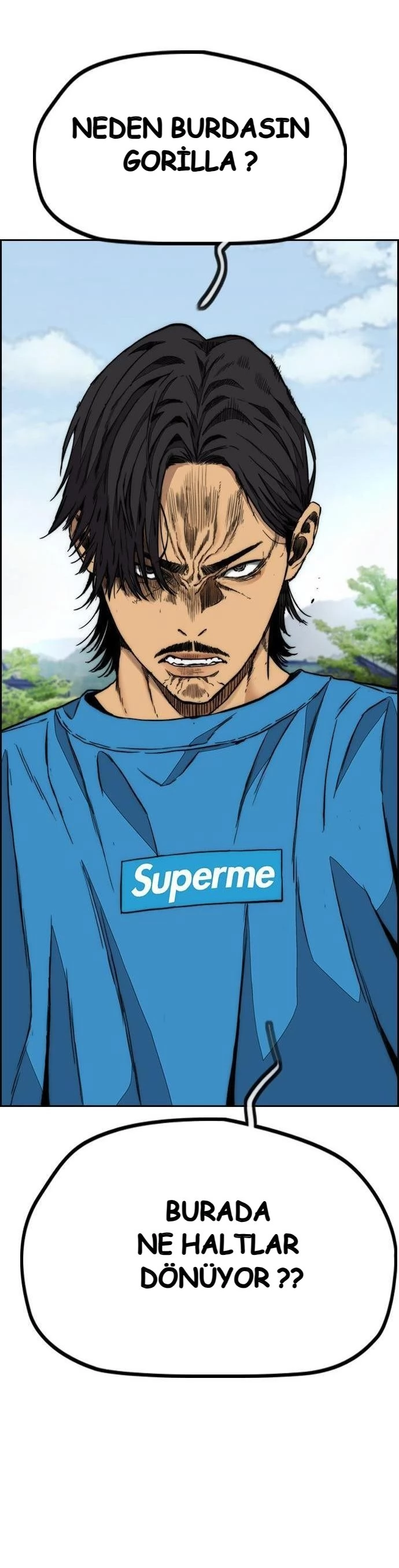 Read Wind Breaker TR Manga Online