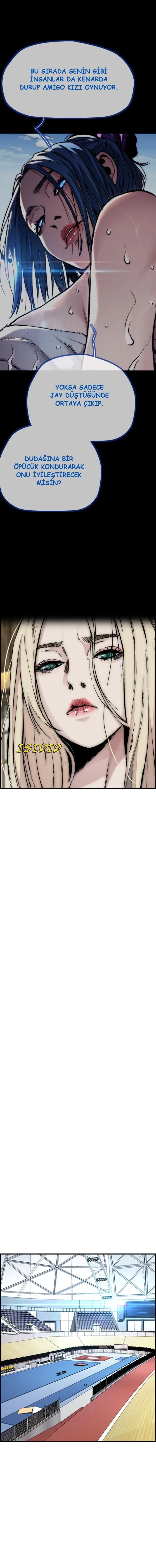 Read Wind Breaker TR Manga Online