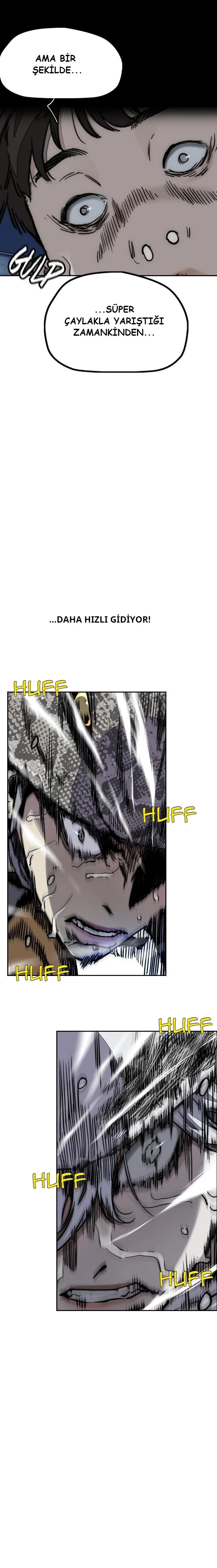Read Wind Breaker TR Manga Online