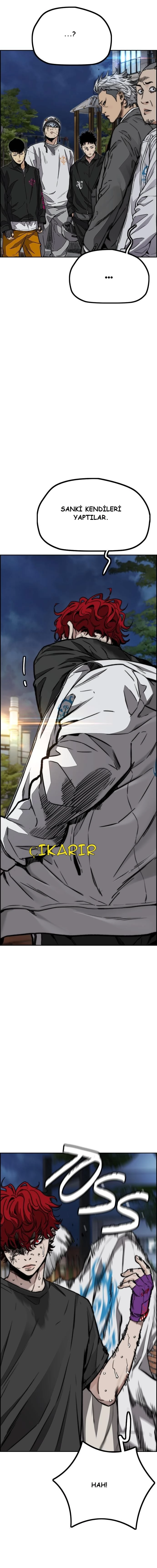 Read Wind Breaker TR Manga Online