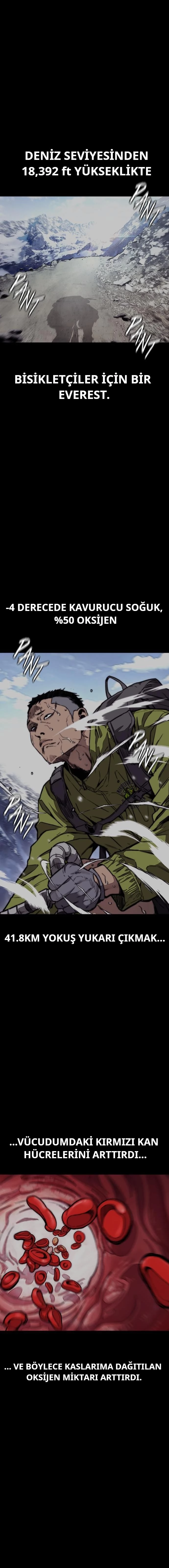 Read Wind Breaker TR Manga Online