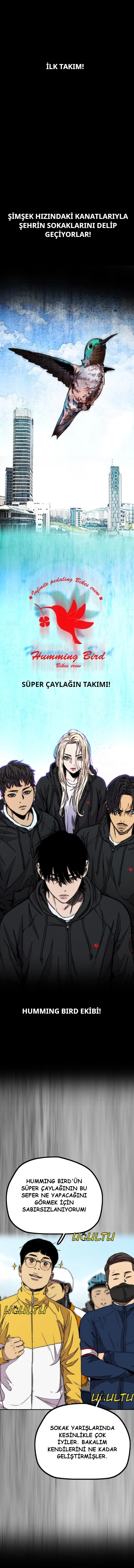 Read Wind Breaker TR Manga Online
