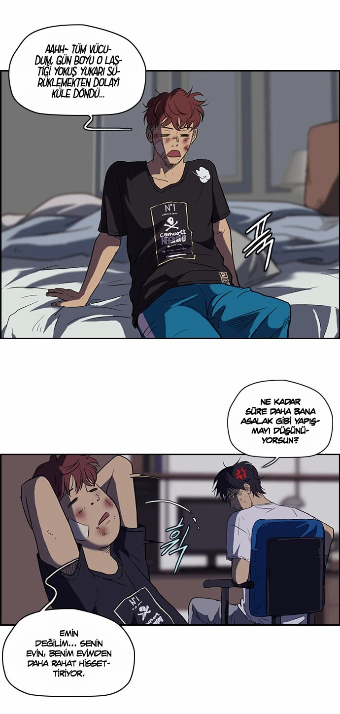 Read Wind Breaker TR Manga Online