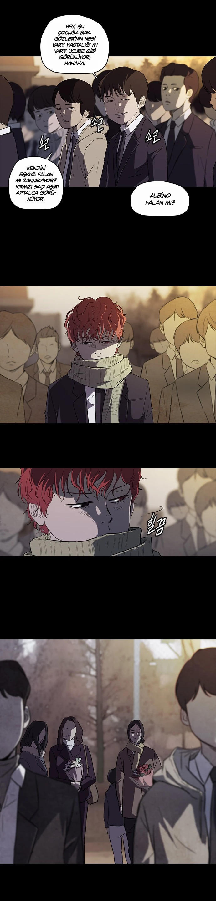 Read Wind Breaker TR Manga Online
