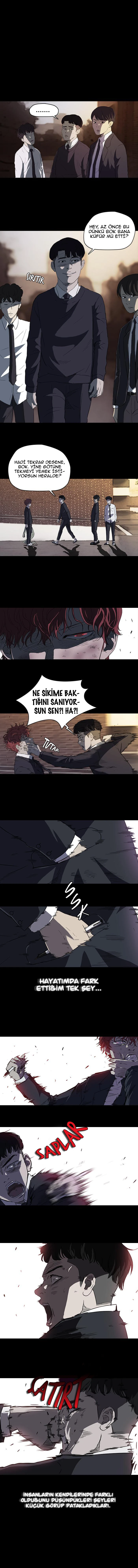 Read Wind Breaker TR Manga Online