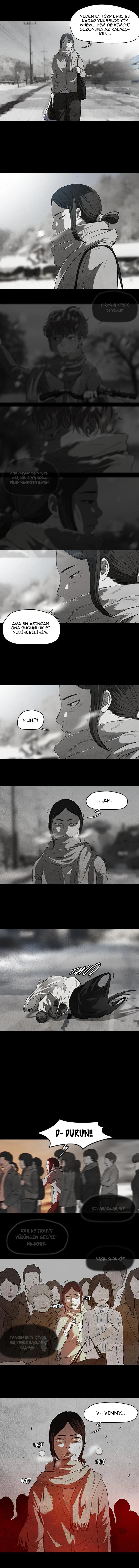 Read Wind Breaker TR Manga Online