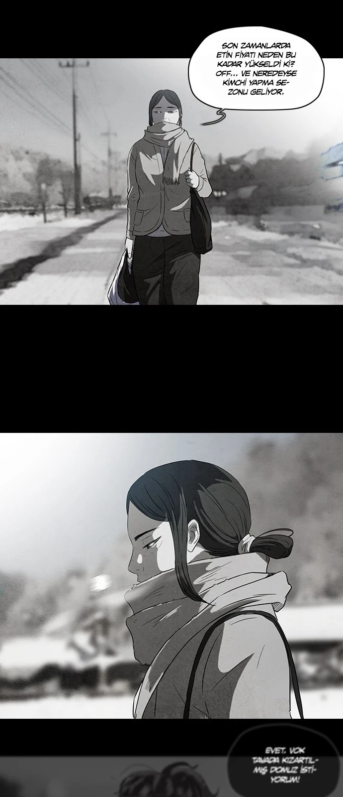 Read Wind Breaker TR Manga Online