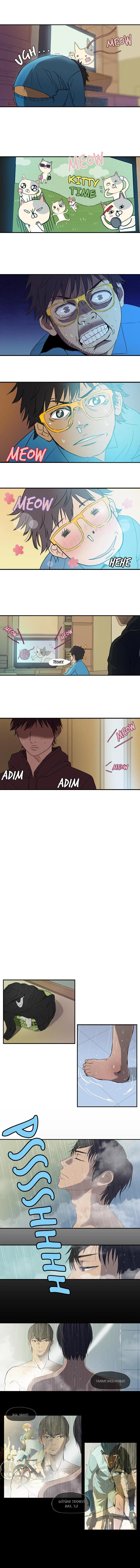 Read Wind Breaker TR Manga Online