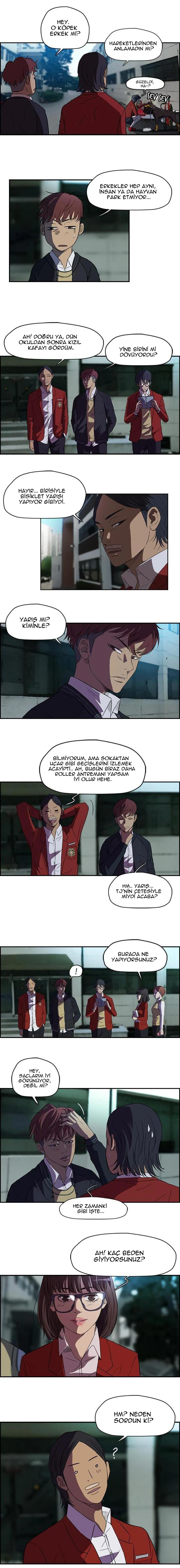 Read Wind Breaker TR Manga Online