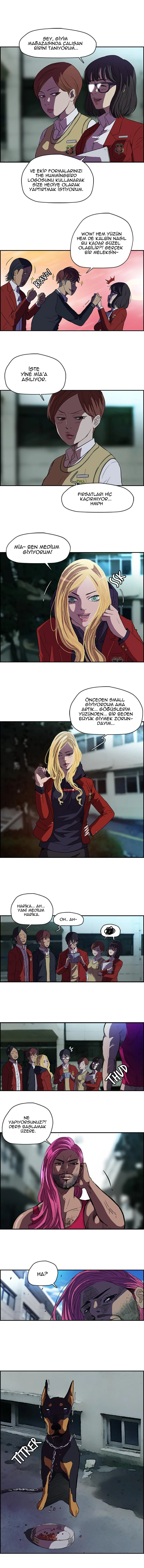 Read Wind Breaker TR Manga Online