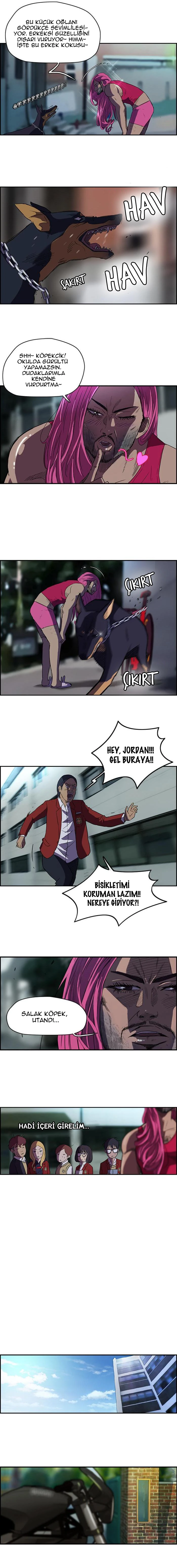 Read Wind Breaker TR Manga Online