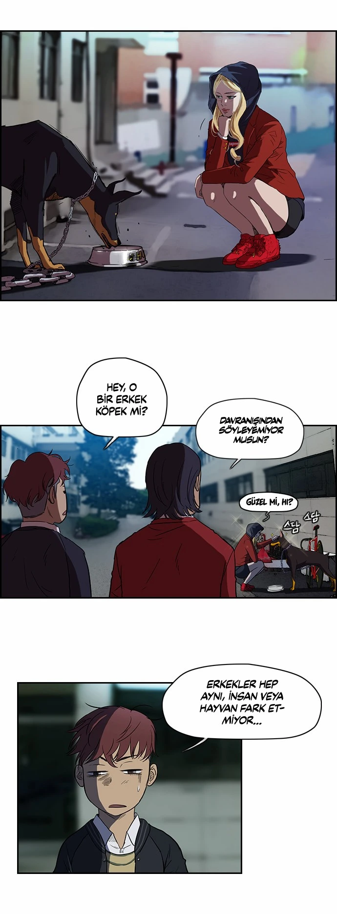 Read Wind Breaker TR Manga Online