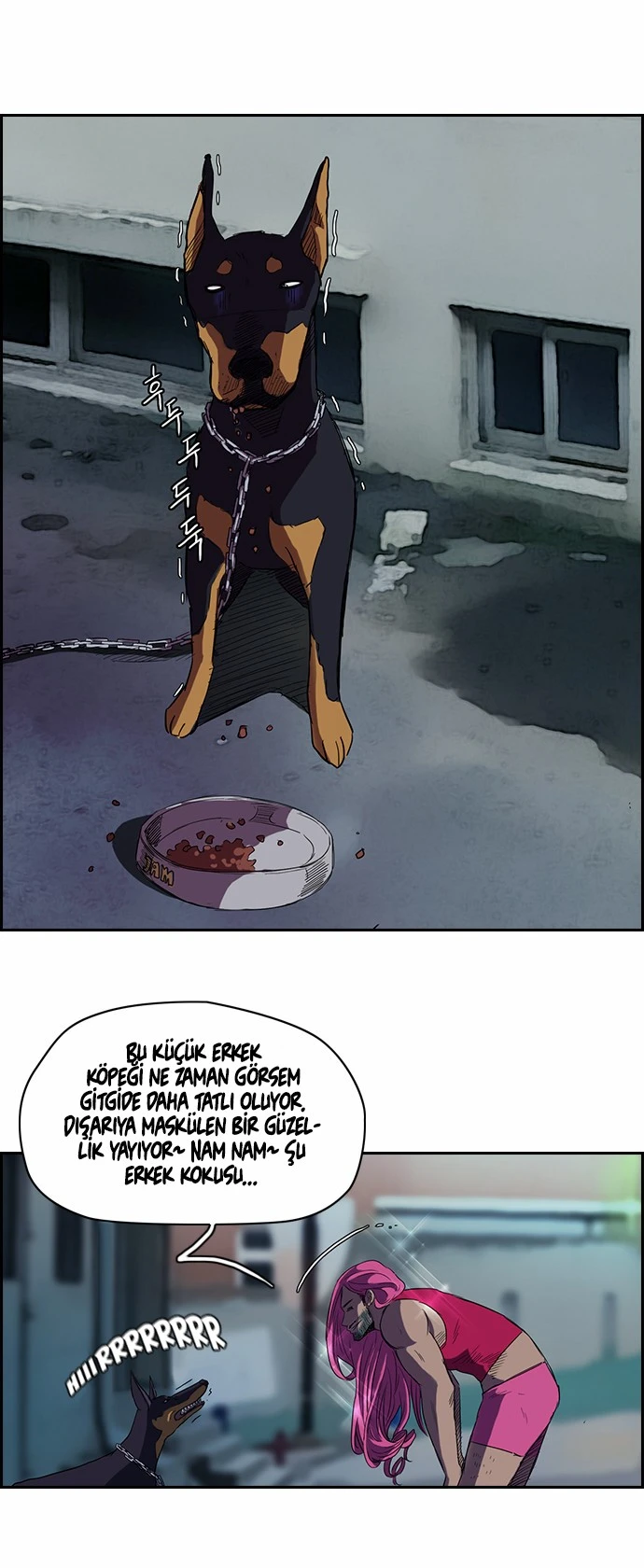 Read Wind Breaker TR Manga Online