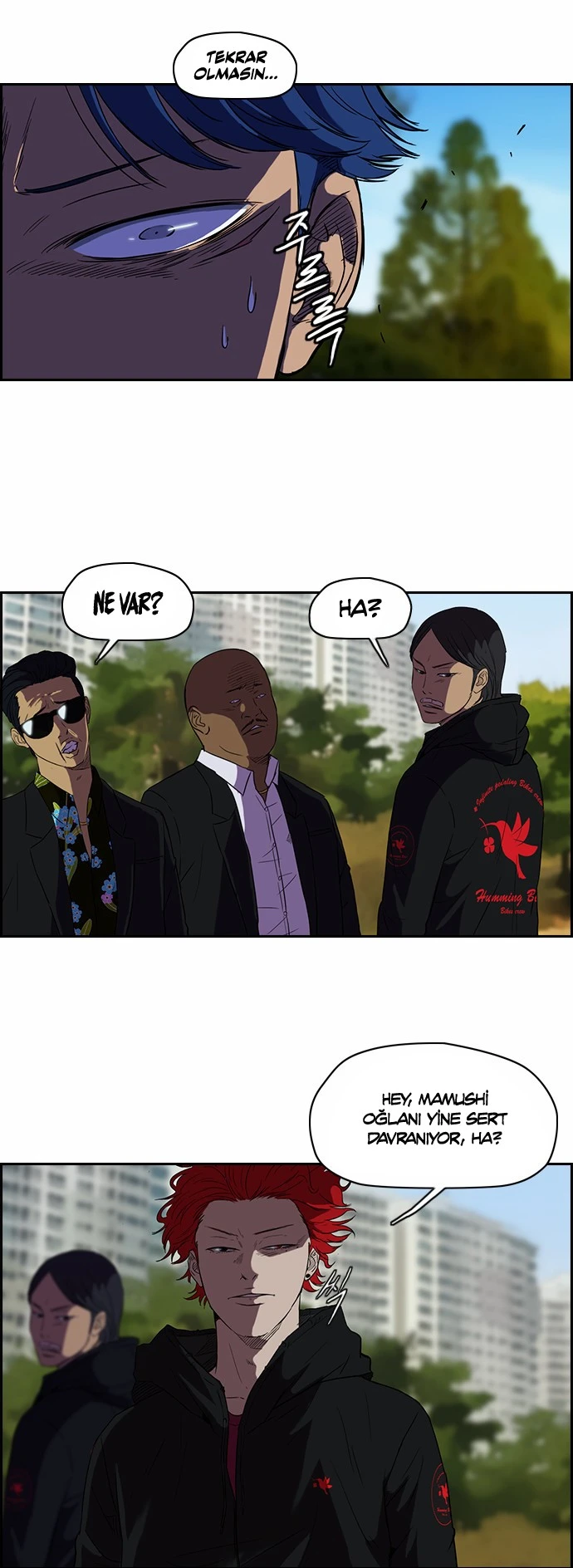 Read Wind Breaker TR Manga Online