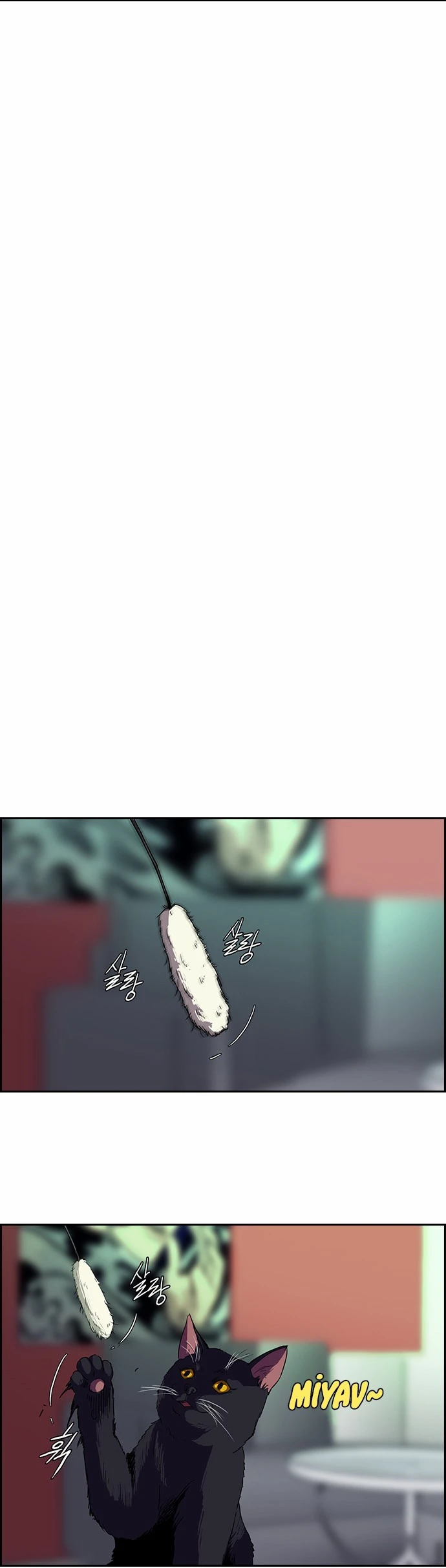 Read Wind Breaker TR Manga Online