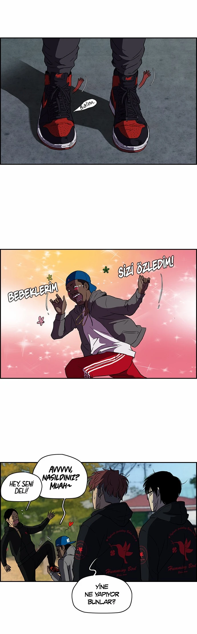 Read Wind Breaker TR Manga Online